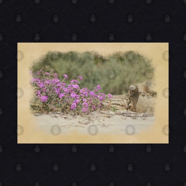 Vintage Look Desert Scene Digital Art by ButterflyInTheAttic